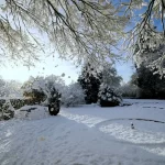 Weather: Temperatures of -13C with snow and ice warnings in place