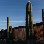 Tohono O’odham Nation says Pentagon failed to consult on border wall construction