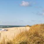 Outer Cape Cod Rental