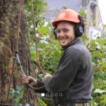 Tree Surgeons Enfield