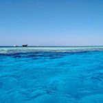 The Saudi ‘paradise’ that wants to be the next Maldives… but there’s a catch